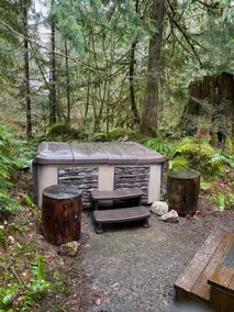 GetAWay Ski Cabin 13 miles til Stevens Pass, HOT TUB! - Image 2