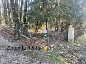 The Pinar de los Alemanes (German Pine Forest) - Image 3