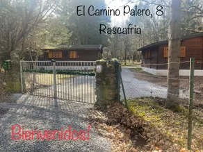 The Pinar de los Alemanes (German Pine Forest) - Image 4