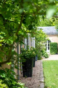 La Chartreuse des Ormeaux maison de maître en Dordogne - Image 5