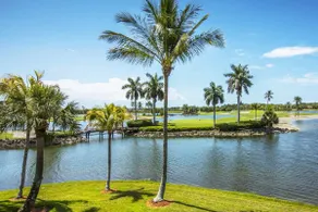 Vacation in Paradise - Image 5