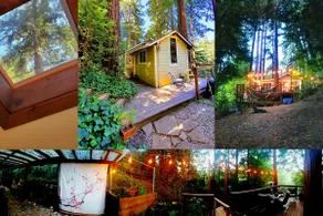 The Artists' Tree House - Image 2