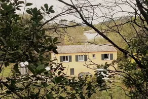 House with large pool, in the Cévennes. - Image 3