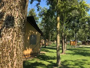 Country Lodge Superior - recharge in nature - Image 2