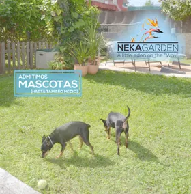 CASITA NEKAGARDEN - Image 3