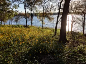 New Lake House – Path to the Beach! - Image 4