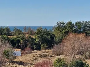 Irklo apartments with sea view - Image 4