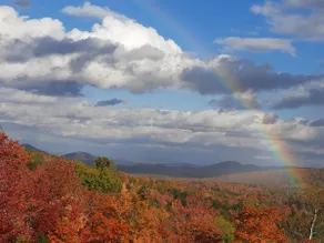 Scenic views in Serene Adirondack retreat - Image 2