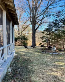 The Cottage at the McCobb House - Image 5