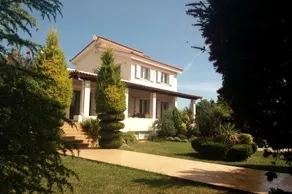 Beautiful Summer Villa in Chalkoutsi - Image 4