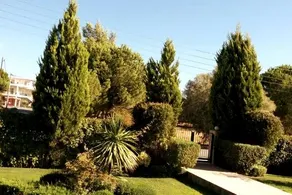 Beautiful Summer Villa in Chalkoutsi - Image 5