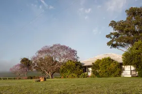 Vineyard Cottage - Image 5