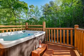 Single-Level Cabin with Hot Tub & Fire Pit - Image 2