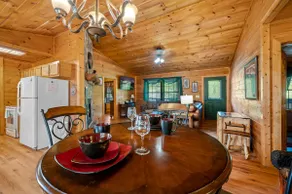 Single-Level Cabin with Hot Tub & Fire Pit - Image 3