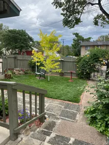 Bee’s Haven 2 - Image 4