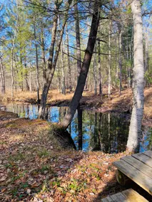 Falling Leaf Retreat Quiet Seclusion - Image 2
