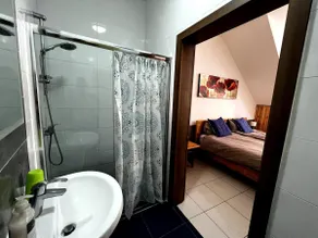 Spacious studio apartment - 15 min walk to Ferry - Image 4