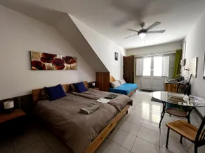 Spacious studio apartment - 15 min walk to Ferry - Image 2