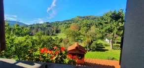 Lovely Tuscan Holiday house Badia Prataglia - Image 4