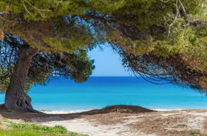 A. Comtesse Attic E dans Alcudia WiFi - Image 4