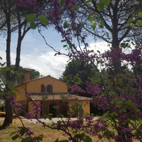 Il Montedoro - Image 2