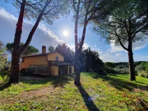 Il Montedoro - Image 3