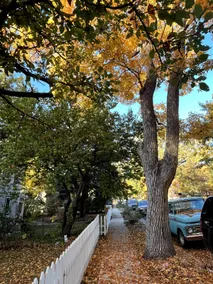 Bluff Street Bungalow - Image 4