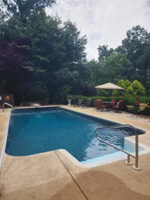 Harmony Lodge nestled in wooded tranquility! - Image 5