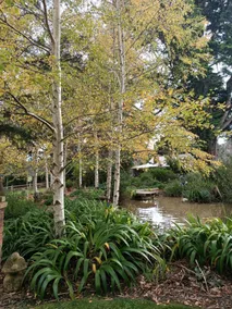 Our Yarra Valley Cottage - Image 2