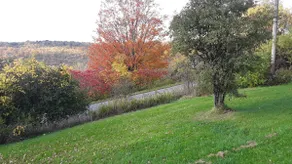 Pet Friendly Seneca Lake Country House & pond - Image 2