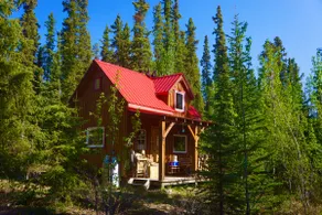 Wheaton River Wilderness River Cabin - Image 2