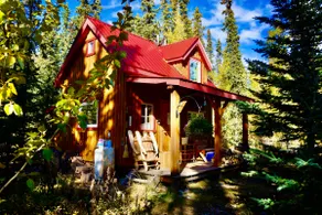 Wheaton River Wilderness River Cabin - Image 3