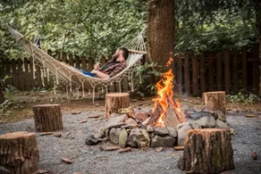 Fauna Forest Guesthouse - Image 4