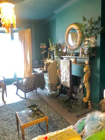 Beachfront apartment , eclectic interiors ! - Image 4