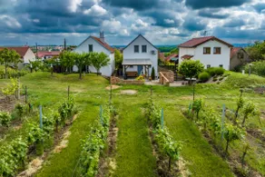 Vinoza - ubytování a vinný sklep Velké Bílovice Rulandová - Image 4