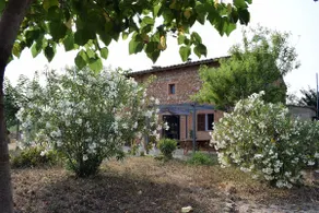 Sa Riba, Country house in Mallorca - Image 2