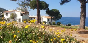 4-person apartment facing the sea - Image 5