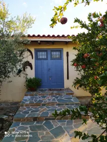 Perivoli, Olive & Pomegranate orchard - Image 3