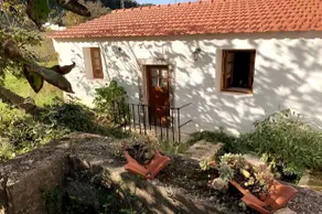 The Ribeira Mill - Image 5