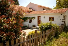 The Ribeira Mill - Image 4