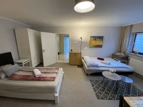 Comfortable apartment G near Frankfurt - Image 4