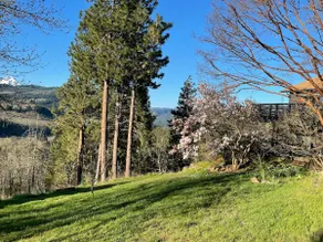 Quiet getaway on 5 Acres with Mt Hood View! - Image 5