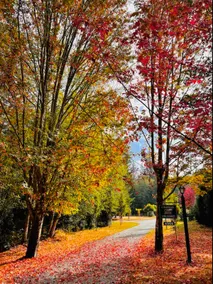 langley seaside 3 min. to canfield orchard - Image 2