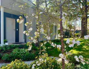 Bradman Studio -tranquil garden, easy walk to town - Image 3