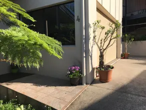 ‘Wattle House’ in the Heart of Maleny - Image 5