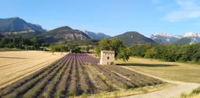 ”Le Second Souffle” downtown, terrace, garden - Image 5