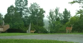Country Charm - Image 3