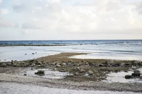 Chill & Recharge with Locals (Full Apartment) - Image 5