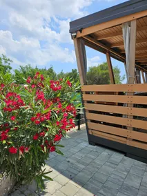 Seaside luxury and spacious camping house - Gin - Image 2