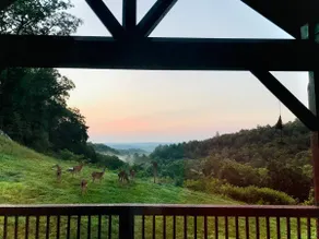 Mountaintop Retreat: 3 Miles From Blowing Rock, NC - Image 5